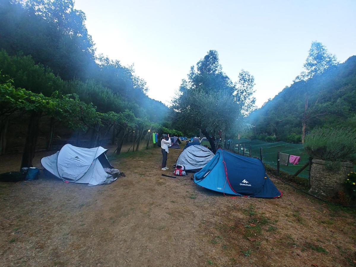 Agricamping Ponteraggio N.1 Hotel Dolceacqua Luaran gambar