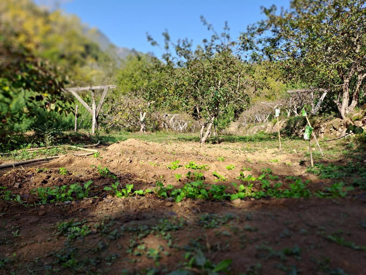 Agricamping Ponteraggio N.1 Hotel Dolceacqua Luaran gambar