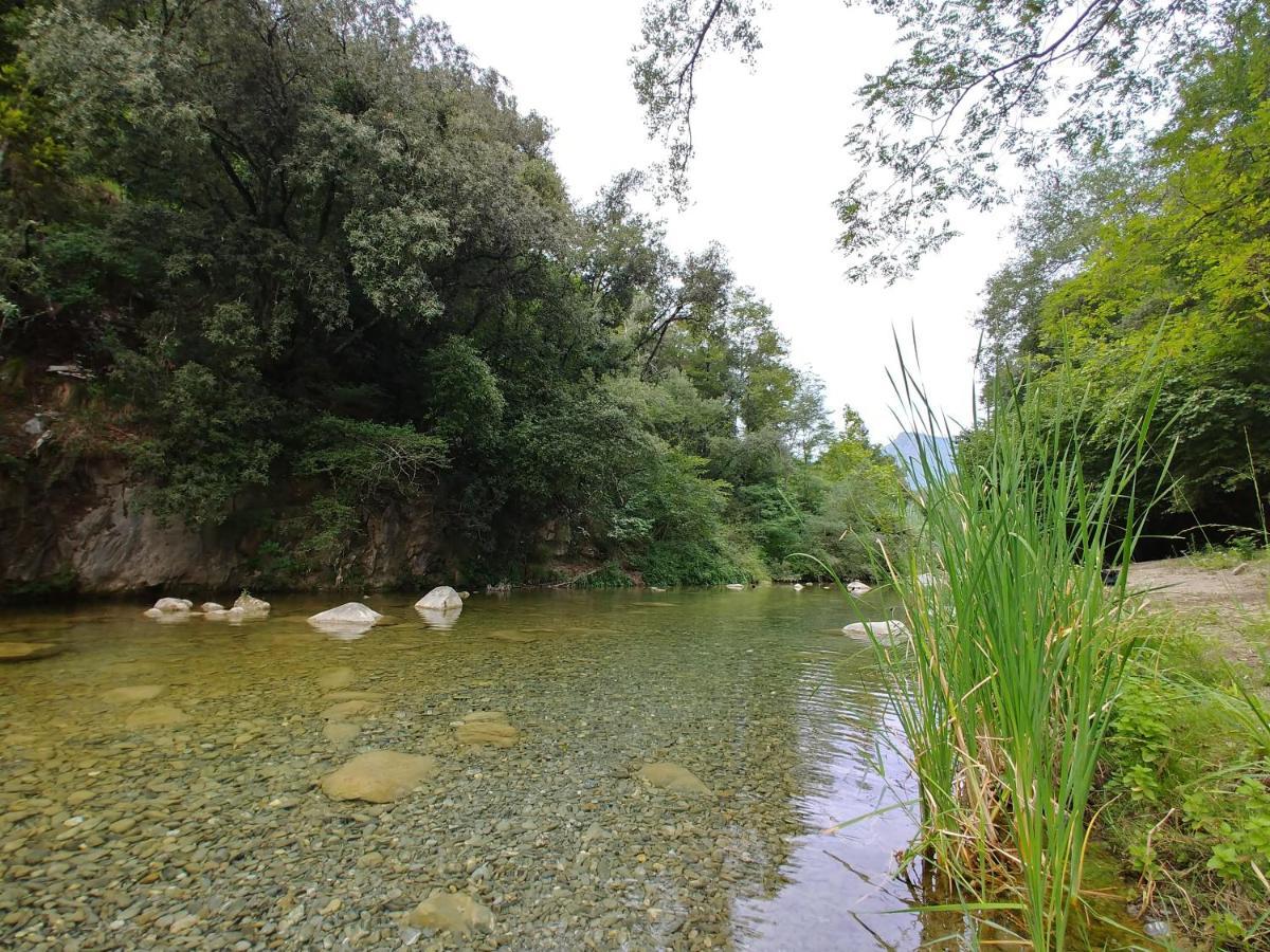 Agricamping Ponteraggio N.1 Hotel Dolceacqua Luaran gambar