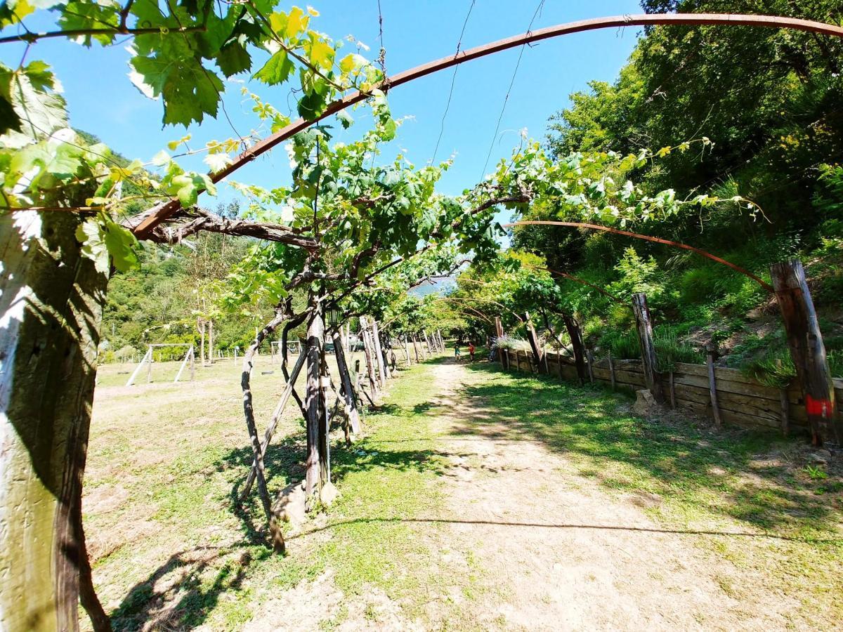 Agricamping Ponteraggio N.1 Hotel Dolceacqua Luaran gambar
