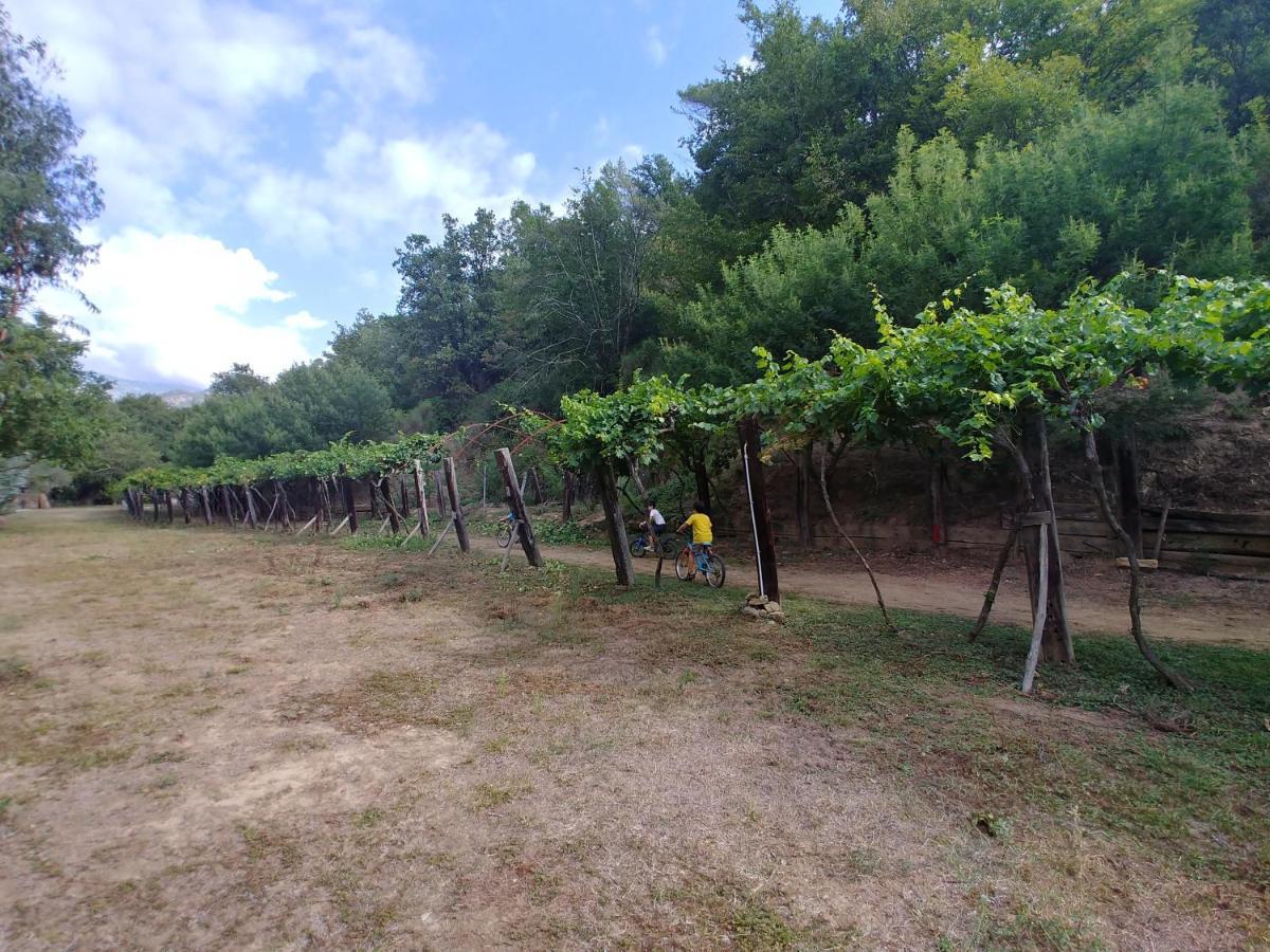 Agricamping Ponteraggio N.1 Hotel Dolceacqua Luaran gambar