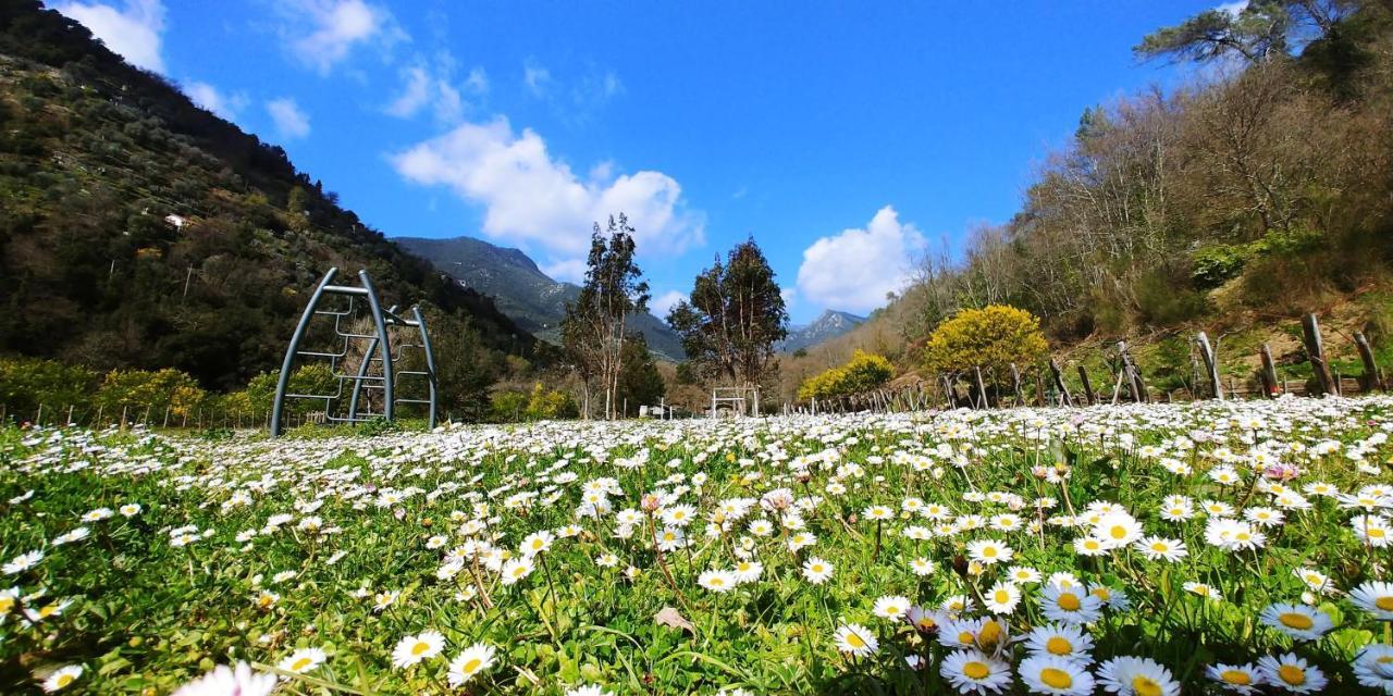 Agricamping Ponteraggio N.1 Hotel Dolceacqua Luaran gambar