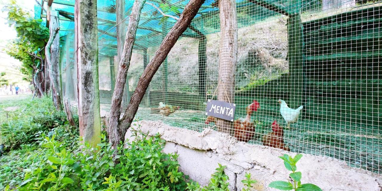 Agricamping Ponteraggio N.1 Hotel Dolceacqua Luaran gambar