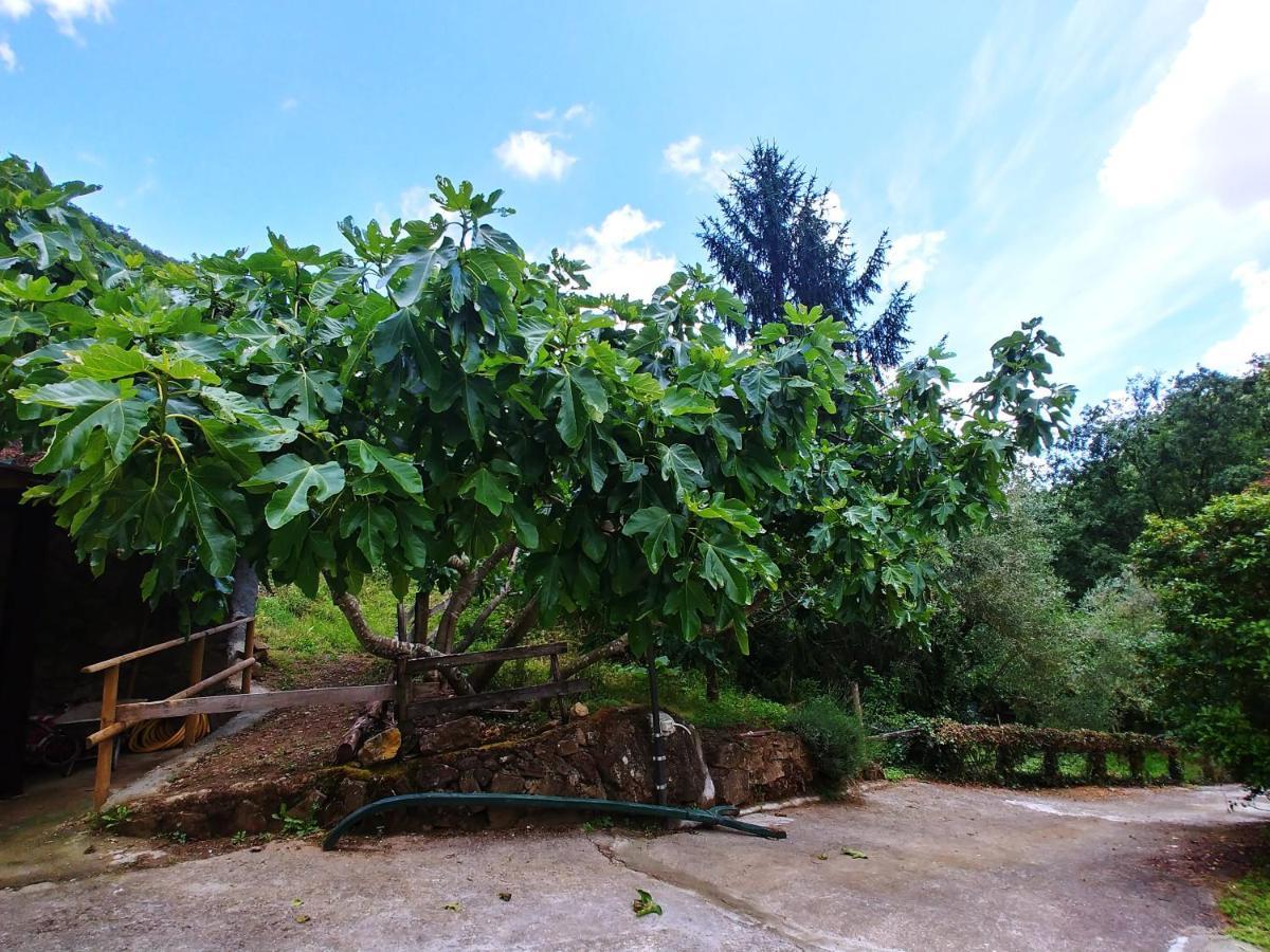 Agricamping Ponteraggio N.1 Hotel Dolceacqua Luaran gambar