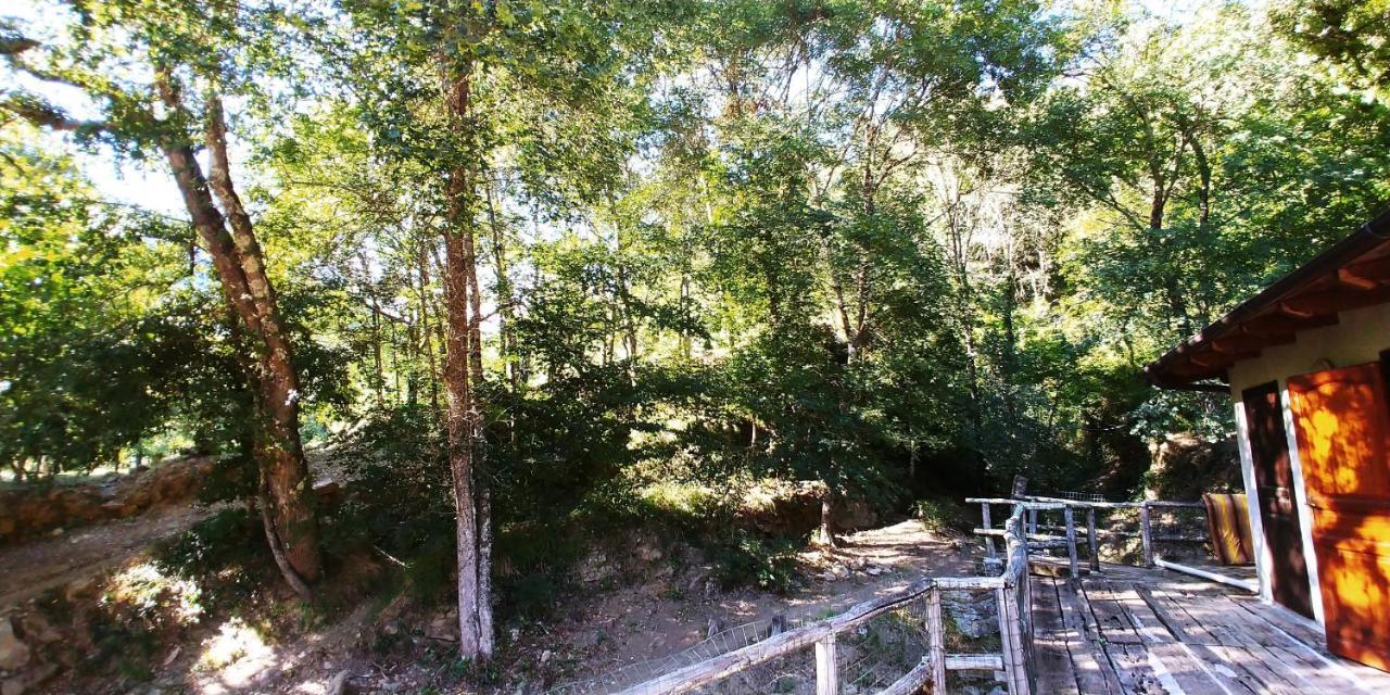 Agricamping Ponteraggio N.1 Hotel Dolceacqua Luaran gambar