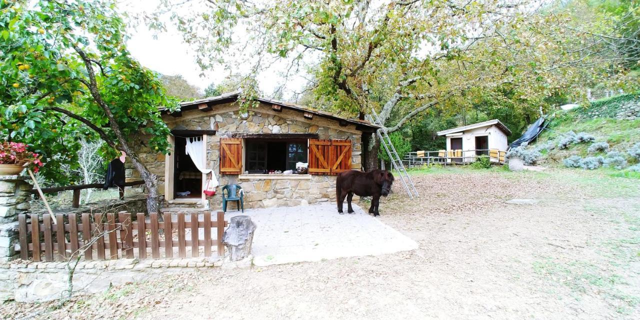 Agricamping Ponteraggio N.1 Hotel Dolceacqua Luaran gambar