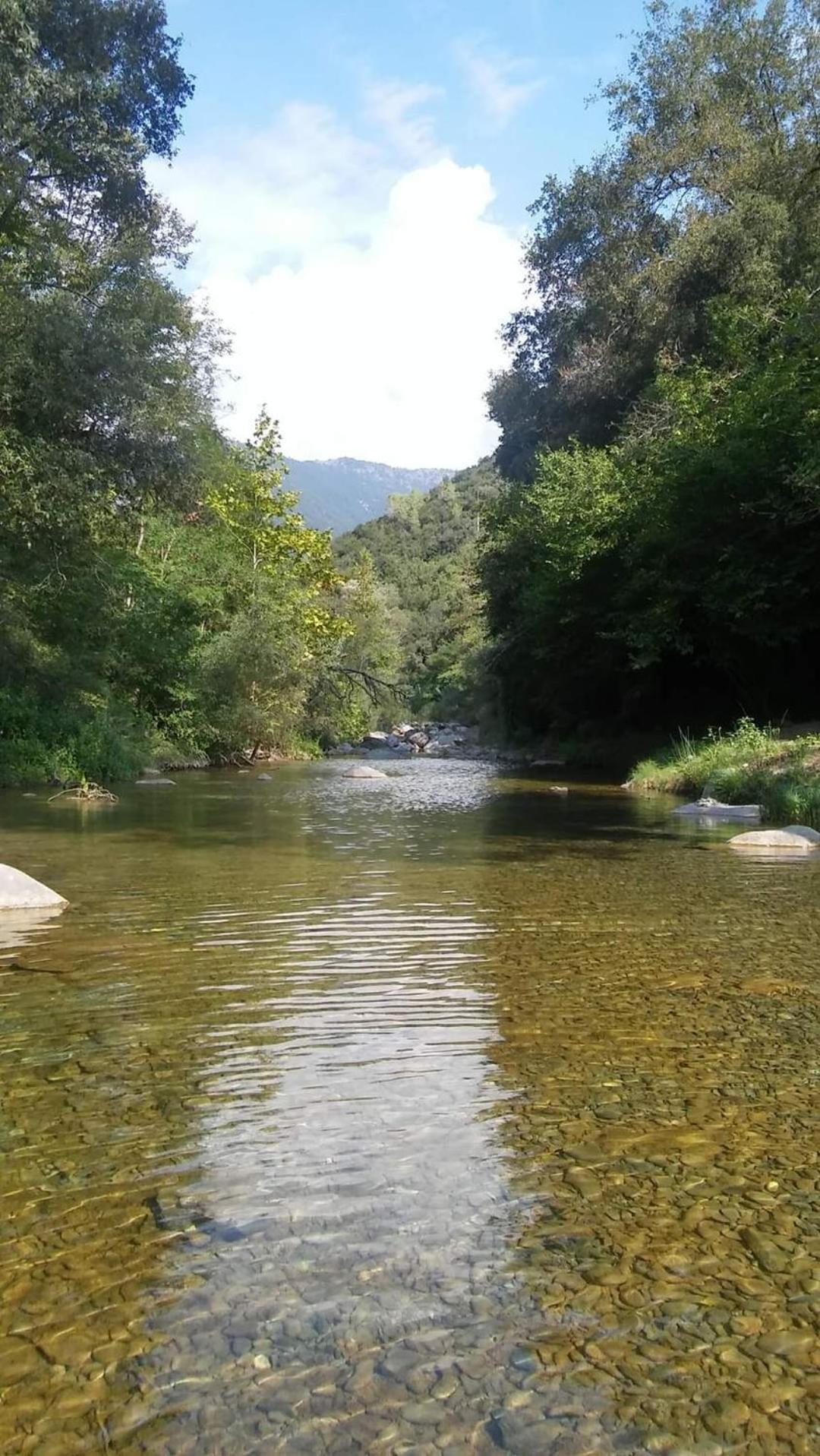 Agricamping Ponteraggio N.1 Hotel Dolceacqua Luaran gambar