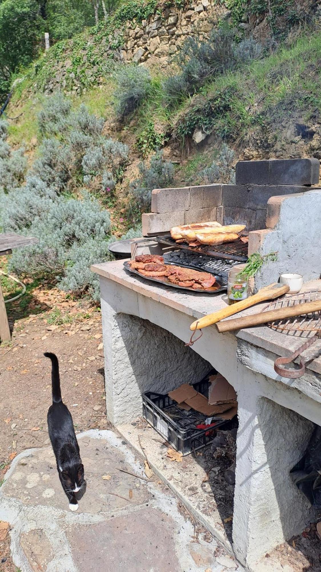 Agricamping Ponteraggio N.1 Hotel Dolceacqua Luaran gambar